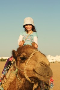 camel ride on the beach